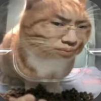 新鲜哥259头像