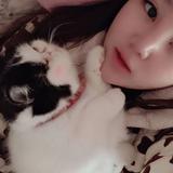 越走越远7493头像
