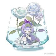 愿北极星指引你的个人资料头像