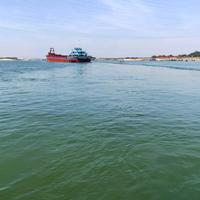 蚂蚁哑黑4D5S头像