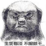 6大郎头像