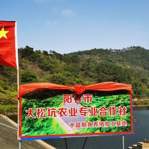 鲷鱼公主头像