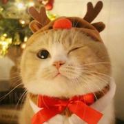 AkazawaYun的个人资料头像