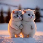 马大龙的个人资料头像