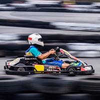 老猫56244446头像