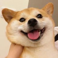 用户3423220533819头像