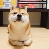 Noone4143头像