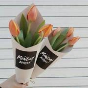 A_c的个人资料头像