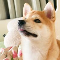 用户1257949909608头像