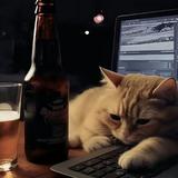 聪明的叶子CtH头像