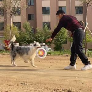 浪迹天涯头像