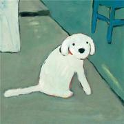 每日大赛呀的个人资料头像