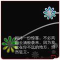 淡泊的微风k1头像