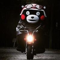 我名字已经被占用了头像