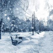 Hugo801的个人资料头像