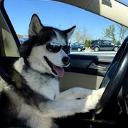 Asura322的个人资料头像