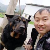 用户9609802814678头像