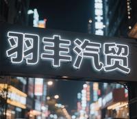 广州市羽丰汽车头像