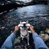 用户7397119538003头像