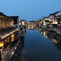 憧憬的小老虎头像