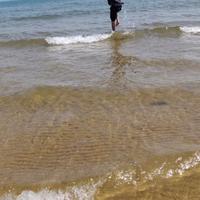 用户8611187495305头像