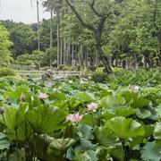 gimgon的个人资料头像