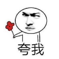 丝丝柔顺头像