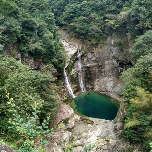 缺糖咖啡头像