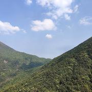 珍惜当下919的个人资料头像