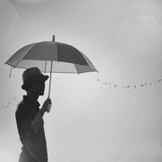 z_pr的个人资料头像