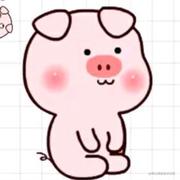 蘑菇丶的个人资料头像