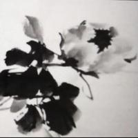 ff冷暖自知头像