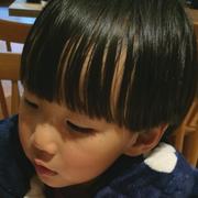 普通人的普通人生的个人资料头像