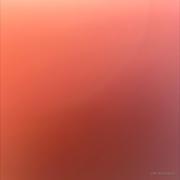 用户80666718813的个人资料头像