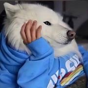 对方正在输入9839的个人资料头像