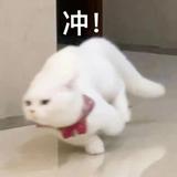 智者漂流瓶6Wu头像
