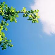 用户7810914553966的个人资料头像