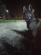 起个名字真麻烦1的个人资料头像