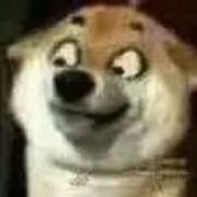 飘扬灬红领巾的个人资料头像