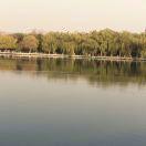 越努力越幸运同学59245的个人资料头像