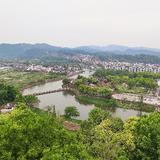 狼与羊生存法则头像