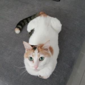 旺小旺头像