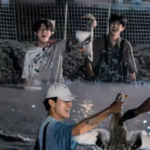 浮光跃金头像