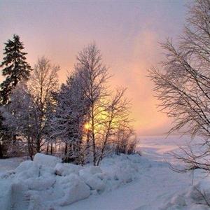 夕阳踏雪头像