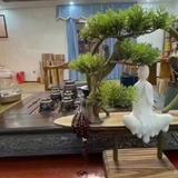战友情深兄弟群头像