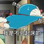 一个想成为大佬但是又想摆烂的菜鸟的个人资料头像