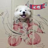 log兜兜头像