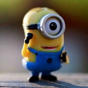 zhiying的个人资料头像