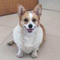 胡渣66079911头像