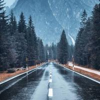 流浪的斌哥头像